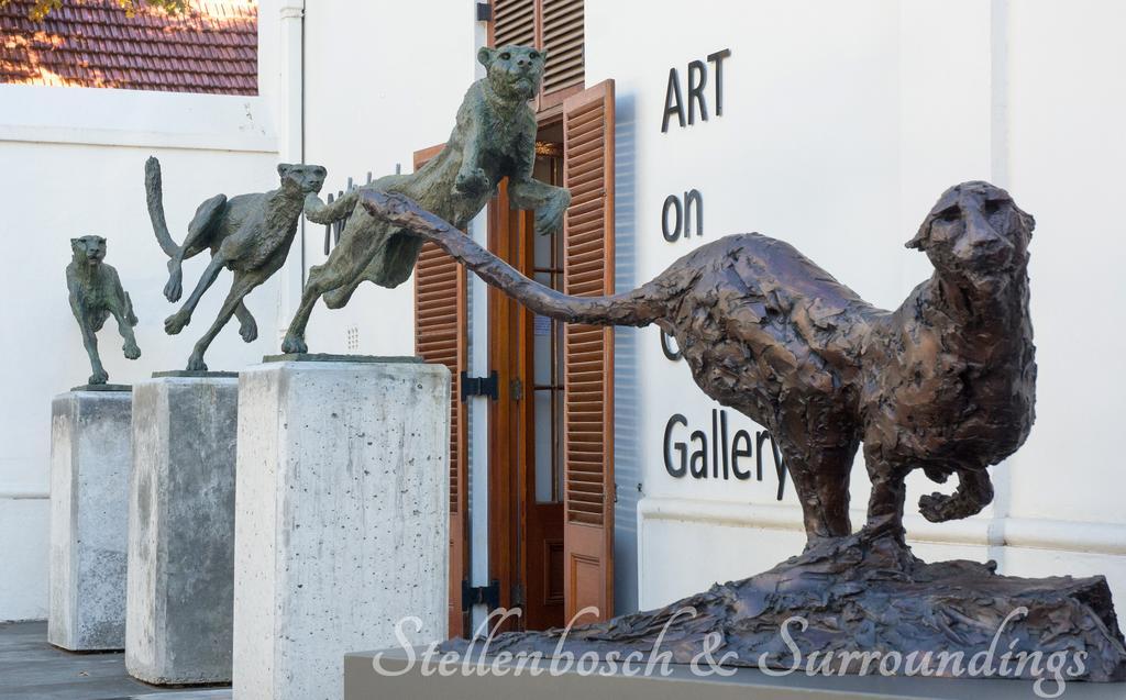 Ferienwohnung Avemore Andringawalk No 221 Stellenbosch Exterior foto